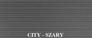 CITY-SZARY