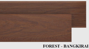 FOREST-BANGKIRAI